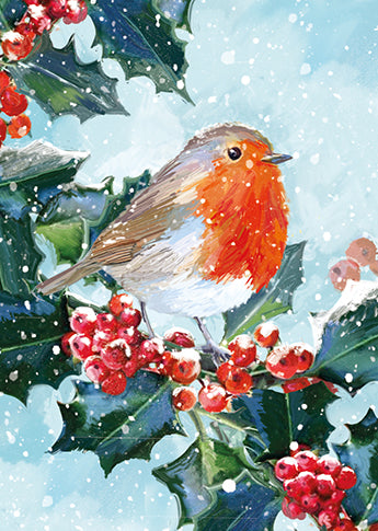 Classic Christmas - Big Value Box (24 Cards)