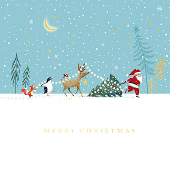 Small Premium Box of 8 Skiing with the Stars Christmas Cards