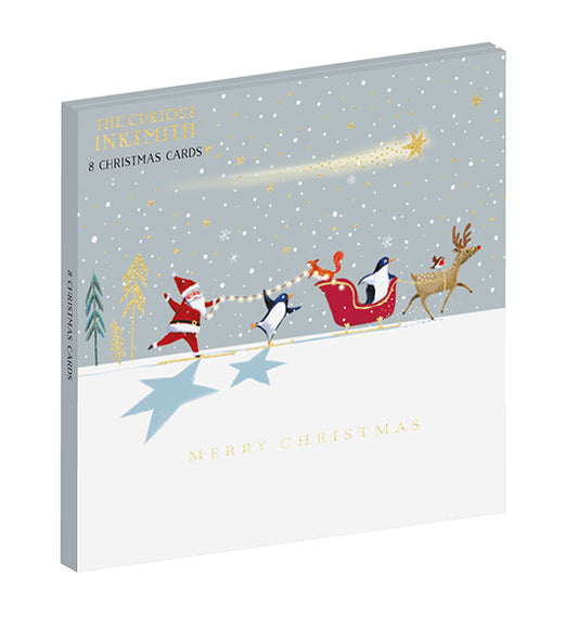 Small Premium Box of 8 Skiing with the Stars Christmas Cards