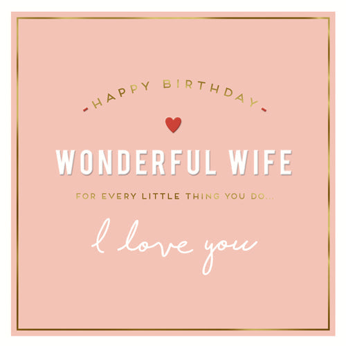 Wonderful Wife Every Little Thing Birthday Card