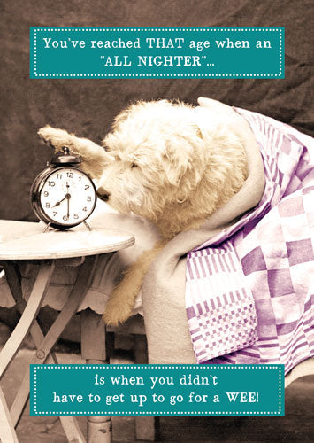 A fluffy dog snuggled in a purple quilt reaches for an old alarm clock on a chair. With witty jokes about aging and late nights, "All Nighter" from Pigment Productions’ Animal Antics is an ideal funny birthday card for dog lovers.