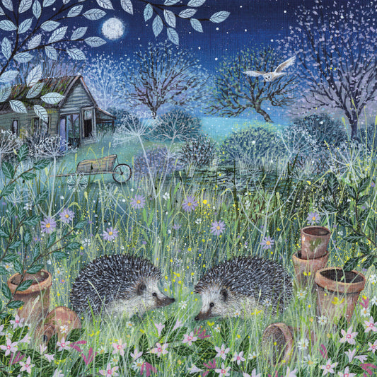 Hedgehogs by Coast and Country Greeting Card