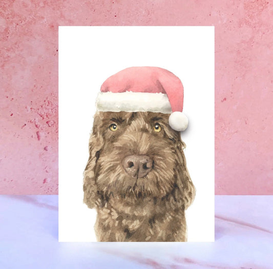 Chocolate Cockerpoo Santa Hat Christmas Card