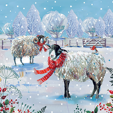 ALL WRAPPED UP - Pack of 6 Charity Cards