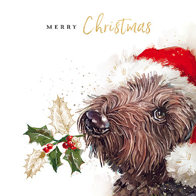 CHRISTMAS COMPANION - Pack of 6 Charity Cards