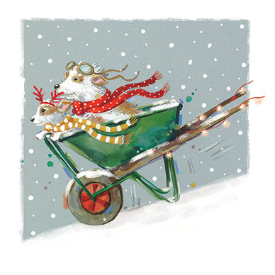 CHRISTMAS FUN - Pack of 6 Charity Christmas Cards