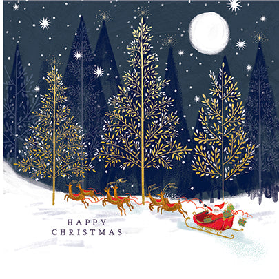 Pack of 6 Charity Christmas Cards - DASHING THROUGH THE SNOW