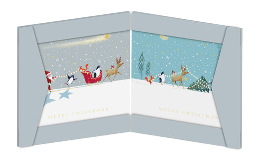 Small Premium Box of 8 Skiing with the Stars Christmas Cards