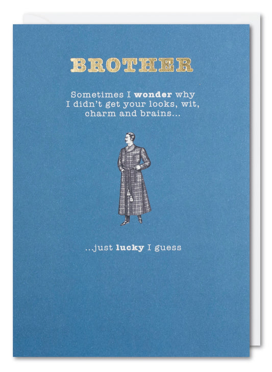 Brother, Sometimes I Wonder Birthday Card