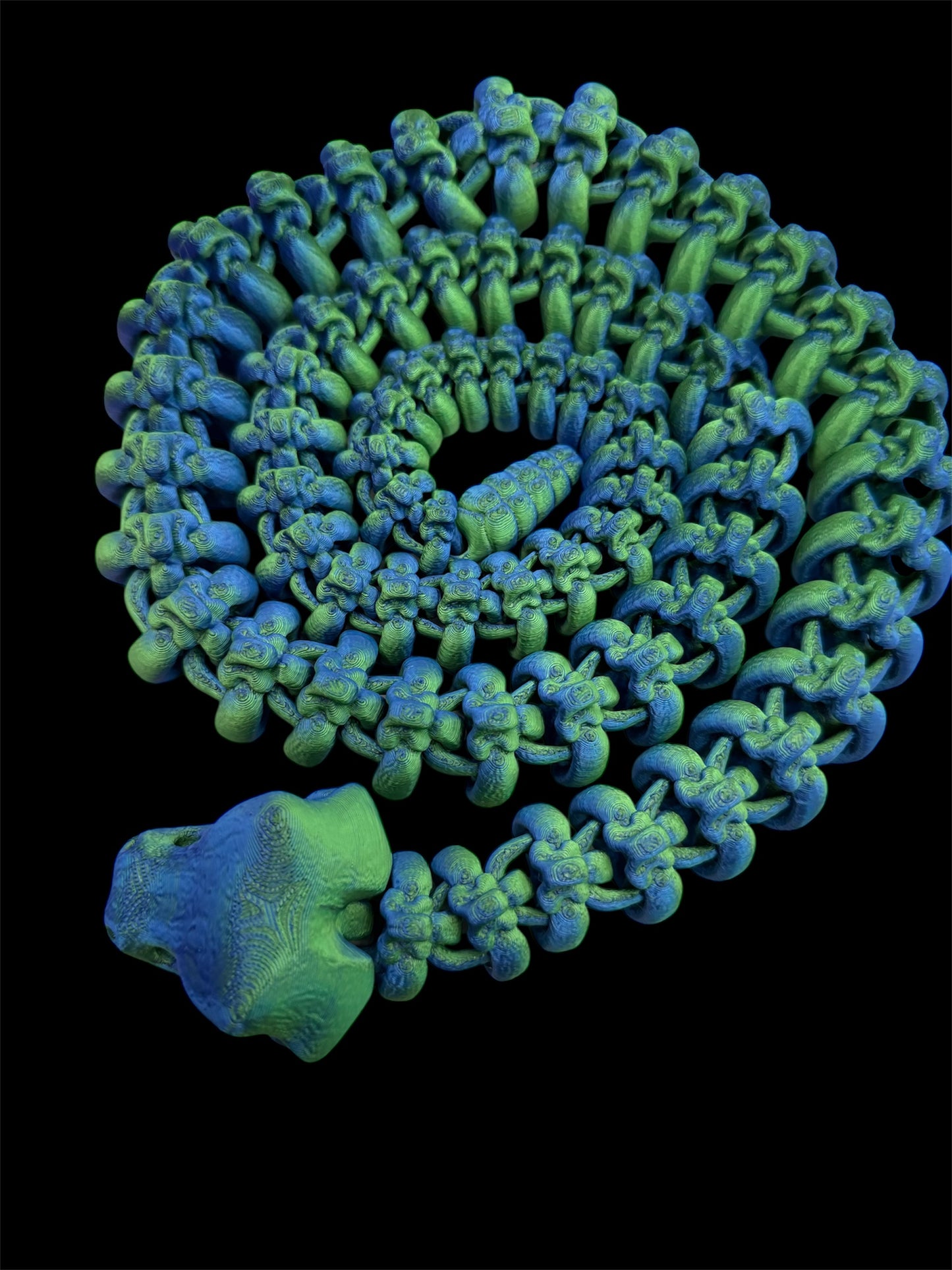 Very Large Skeleton Snake