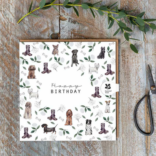 Happy Birthday Dogs Greeting Card