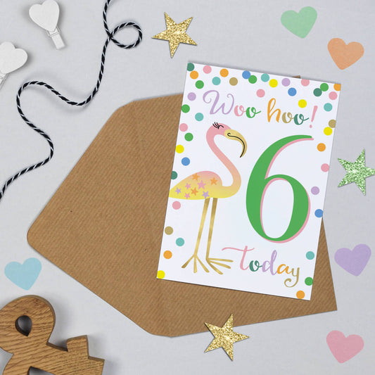 Flamingo 6th Birthday Card
